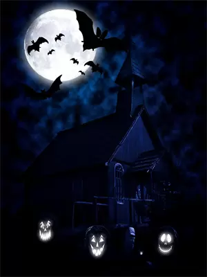 和财阀大佬闪婚了馨白