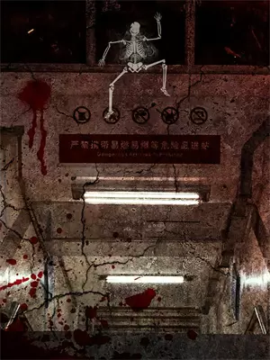 生活在海贼世界