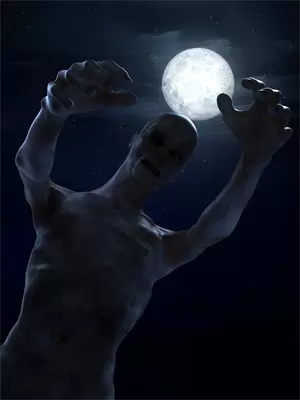 神罚之手：从外卖员到弑神者