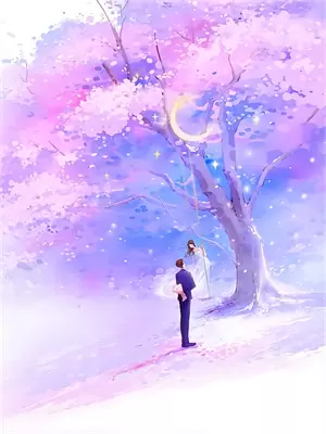 再见沈羡安