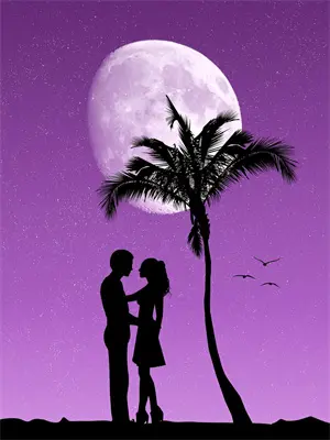 离婚后前夫夜夜求复合全集