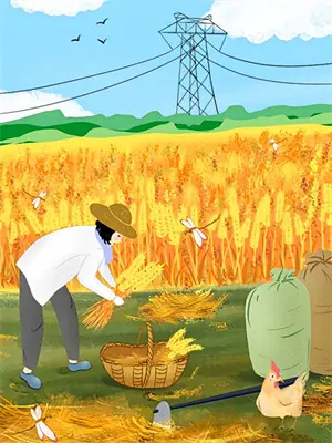 端午节抓鸭子来历故事