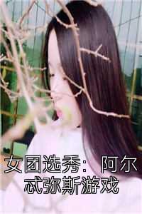 女团选秀：阿尔忒弥斯游戏